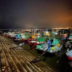 Chợ cá không ngủ nhộn nhịp nhất Hạ Long Chợ cá không ngủ nhộn nhịp nhất Hạ Long