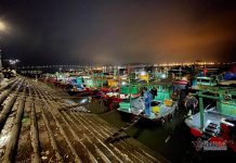 Chợ cá không ngủ nhộn nhịp nhất Hạ Long Chợ cá không ngủ nhộn nhịp nhất Hạ Long