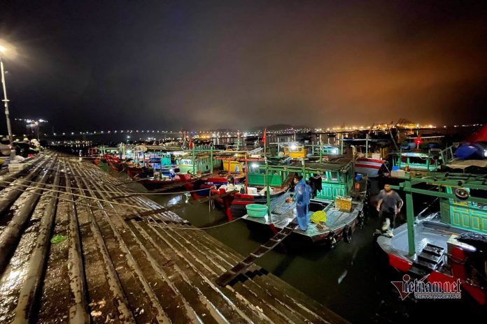 Chợ cá không ngủ nhộn nhịp nhất Hạ Long