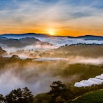 Đặt Vé Máy Bay Cần Thơ – Đà Lạt Khám Phá Thành Phố Ngàn Hoa Vé máy bay Cần Thơ - Đà Lạt