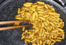 Loạt món ăn nổi tiếng Việt Nam nhưng ‘dọa’ du khách nước ngoài ‘khóc thét’ Loạt món ăn nổi tiếng Việt Nam nhưng 'dọa' du khách nước ngoài 'khóc thét'