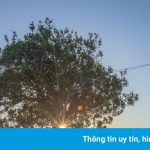 Quảng Ngãi bình yên dưới góc nhìn của nhiếp ảnh gia xa quê