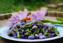 Bông lục bình xào tép sông thành đặc sản Bông lục bình xào tép sông thành đặc sản