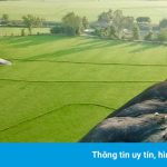 Ghé 5 điểm du lịch gần TP.HCM trong lễ 30/4