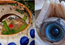 Món đặc sản ‘độc nhất vô nhị’ ở Phú Yên khiến nhiều thực khách không đủ can đảm nếm thử nhưng ăn rồi thì ‘gây nghiện’ Món đặc sản độc nhất vô nhị ở Phú Yên khiến nhiều thực khách không đủ can đảm nếm thử nhưng ăn rồi thì gây nghiện - Ảnh 1.