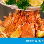 Thưởng thức tôm hùm không giới hạn trên du thuyền Ambassador