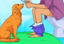 “Giải mã” 7 hành vi kỳ lạ hay gặp ở cún cưng Giải mã 7 hành vi kỳ lạ hay gặp ở cún cưng - Ảnh 1.