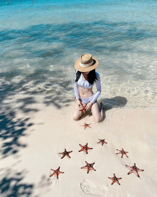 Sao biển ở Phú Quốc chết khô do du khách mang lên bờ chụp ảnh 'sống ảo'