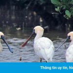 Vườn quốc gia nào có diện tích nhỏ nhất ở Việt Nam?