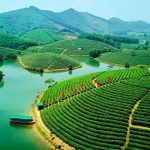 Đặt Vé Máy Bay Hà Nội Vinh Về Vùng Đất Địa Linh Nhân Kiệt Vé Máy Bay Hà Nội Vinh