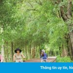 Thói quen du lịch thay đổi sau ảnh hưởng của Covid-19