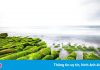 Bãi biển rêu phủ xanh ở Đài Loan