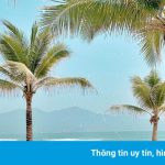 An Bàng, Mỹ Khê vào top 25 bãi biển đẹp nhất châu Á