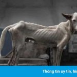 Sống mòn trong nghĩa trang ở Philippines