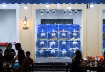 24 giờ, ăn gì tại Phú Quốc dưới 200 nghìn đồng 24 giờ, ăn gì tại Phú Quốc dưới 200 nghìn đồng - ảnh 2