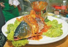 Cá âm dương nửa sống, nửa chết khiến thực khách ‘sởn da gà’ Cá âm dương nửa sống, nửa chết khiến thực khách 'sởn da gà'