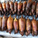 Đặc sản Hà Giang khiến nhiều người phải rùng mình không dám thưởng thức Đặc sản Hà Giang khiến nhiều người phải rùng mình không dám thưởng thức