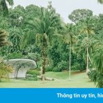 Một mình check-in ở Singapore