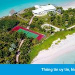 Đại gia trả 120.000 USD cho người sống hộ trên đảo