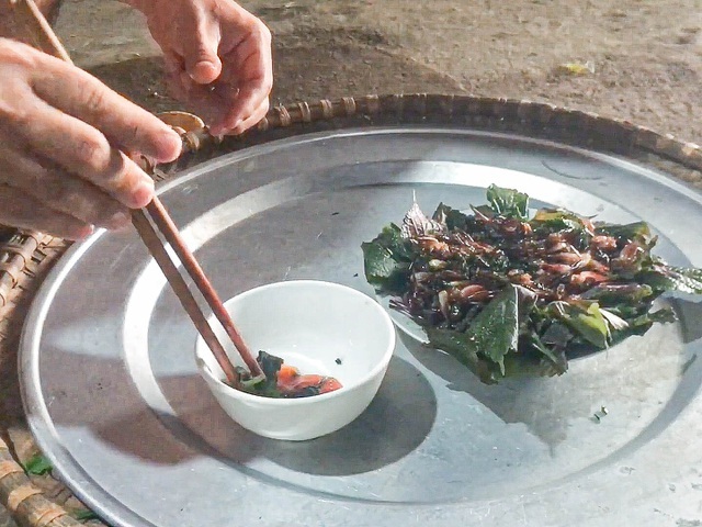 Lạ lùng món 'tôm bò trên cây' của người xứ Lạng