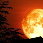 Đón “siêu trăng” sáng và lớn nhất 2021 trong tháng 5 Đón siêu trăng sáng và lớn nhất 2021 trong tháng 5 - Ảnh 1.