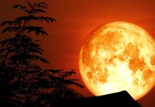 Đón “siêu trăng” sáng và lớn nhất 2021 trong tháng 5 Đón siêu trăng sáng và lớn nhất 2021 trong tháng 5 - Ảnh 1.