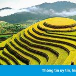 Ruộng bậc thang duy nhất là Di tích quốc gia đặc biệt của Việt Nam
