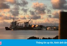Samoa gạt bỏ dự án cảng 100 triệu USD do Trung Quốc tài trợ