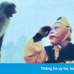 Tôn Ngộ Không qua góc nhìn của Lục Tiểu Linh Đồng