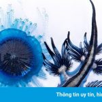 Rồng xanh dưới nước vào top ảnh đại dương đẹp nhất thế giới