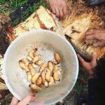 Khiếp sợ cảnh nhiều người ‘ăn tươi nuốt sống’ món đặc sản tròn ủng, nhung nhúc của Bến Tre Khiếp sợ cảnh nhiều người 'ăn tươi nuốt sống' món đặc sản tròn ủng, nhung nhúc của Bến Tre