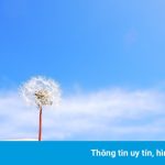 Thanh âm của tĩnh lặng