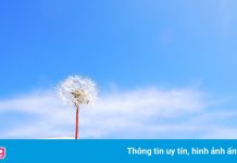 Thanh âm của tĩnh lặng