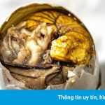 Món Việt tại bảo tàng đồ ăn kinh dị thế giới