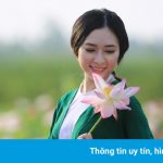 Mùa hoa sen ở Hải Phòng