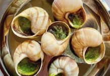 Ốc sên thành món ăn sang trọng trong nhà hàng 5 sao Ốc sên thành món ăn sang trọng trong nhà hàng 5 sao - 1