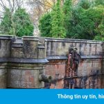 Cây cầu ‘tử thần’ với loài chó ở Anh