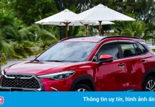 Kia Seltos và Toyota Corolla Cross áp đảo Kona, EcoSport