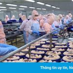 Một cảng tại Trung Quốc ngưng nhập khẩu thủy sản từ 11 nước