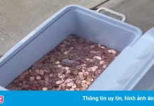 Đổ 80.000 đồng xu vào nhà vợ cũ