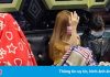 Nhân viên quán karaoke BBM bị bắt tạm giam