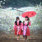 Khám phá những phong tục kỳ là trong chuyến du lịch ở Việt Nam