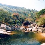 Khám phá vườn quốc gia Yok Đôn khu rừng đặc dụng lớn nhất tại Việt Nam