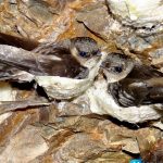 TOUR Du lịch Hè Quy Nhơn trọn gói uy tín 2022