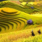 Du lịch mùa thu trong nước với những địa điểm tuyệt đẹp dành cho du khách