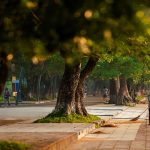 Chia sẻ kinh nghiệm du lịch Huế mùa thu dành cho bạn