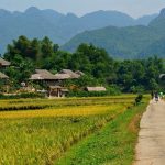 Tham khảo kinh nghiệm du lịch Mai Châu mùa thu cực hữu ích