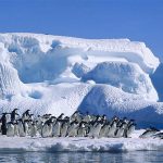 Những điều du khách cần biết trước chuyến du lịch bắc cực