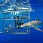 Những kiểu du lịch độc đáo nhất thế giới mà du khách không ngờ tới