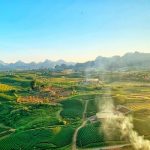 Du lịch Mộc Châu 2022, nên đi vào thời điểm nào là thích hợp?